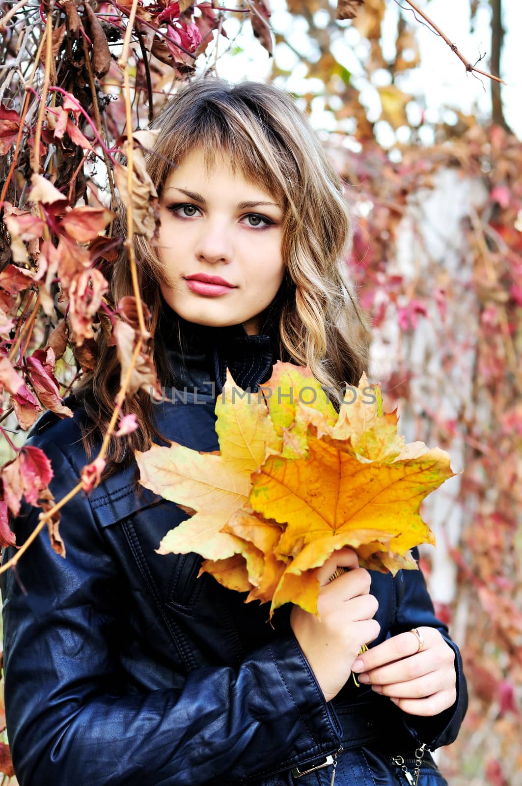 in autumn colors by Reana