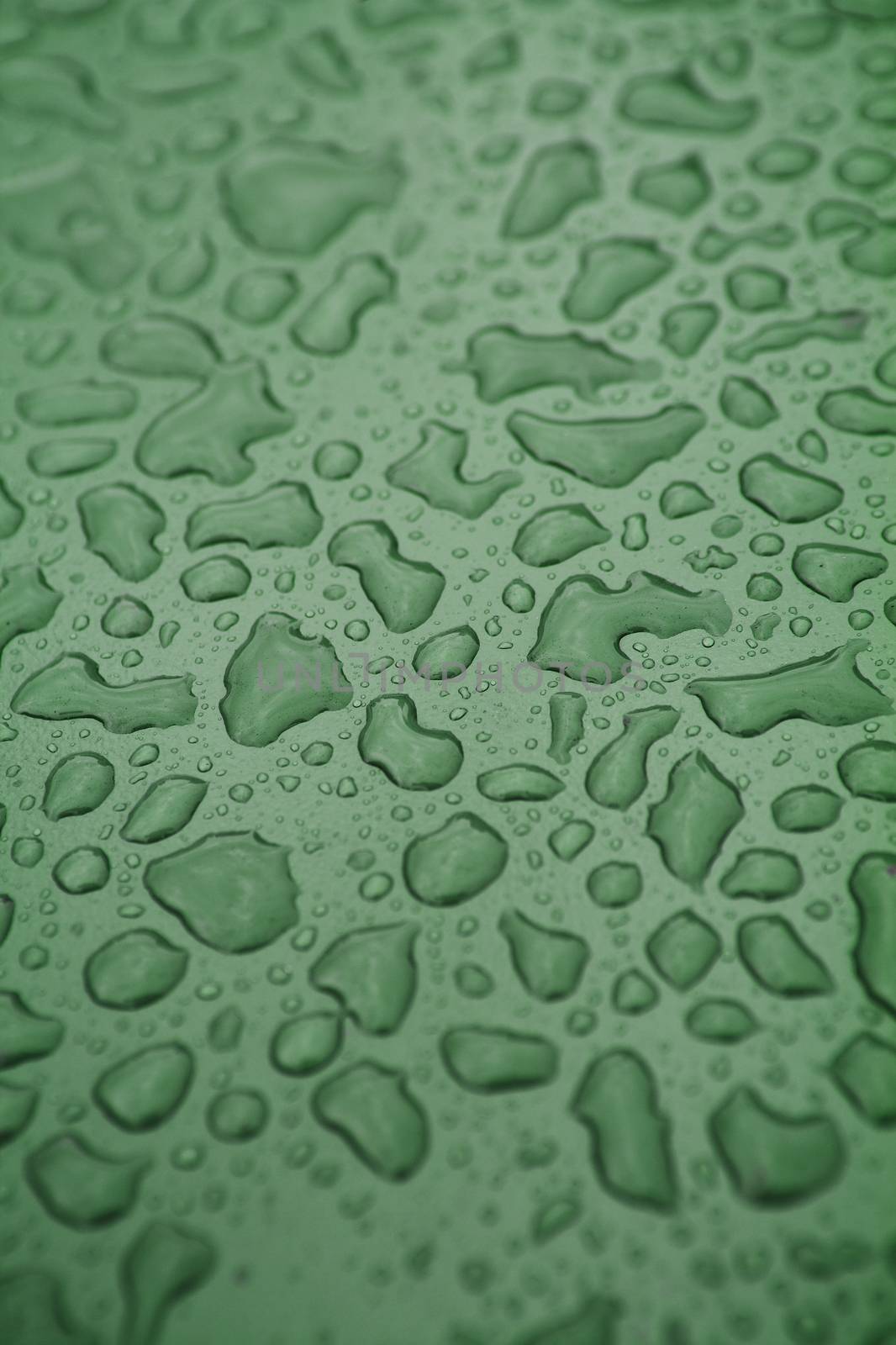 Full Frame of Water Drops on green background