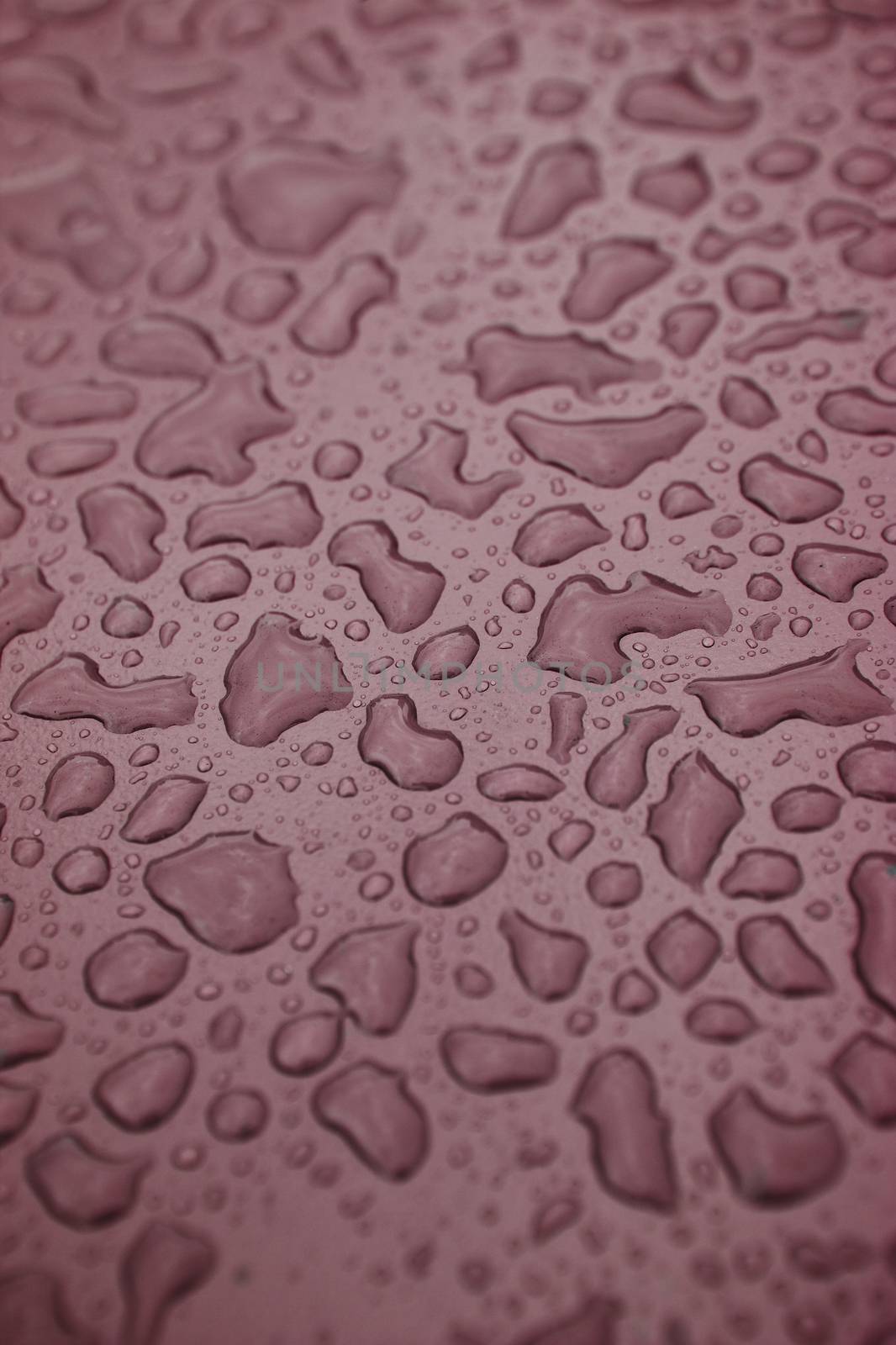 Full Frame of Water Drops on red background by gemenacom