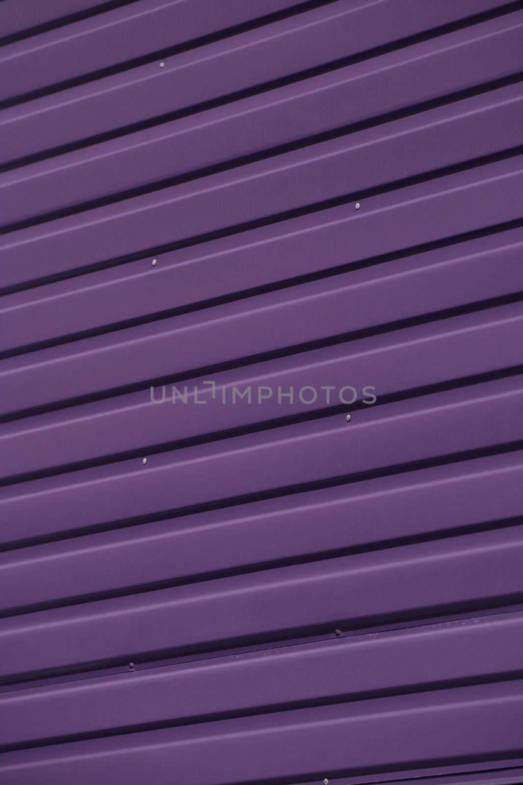 Close up of Purple Corrugated Iron Full Frame by gemenacom
