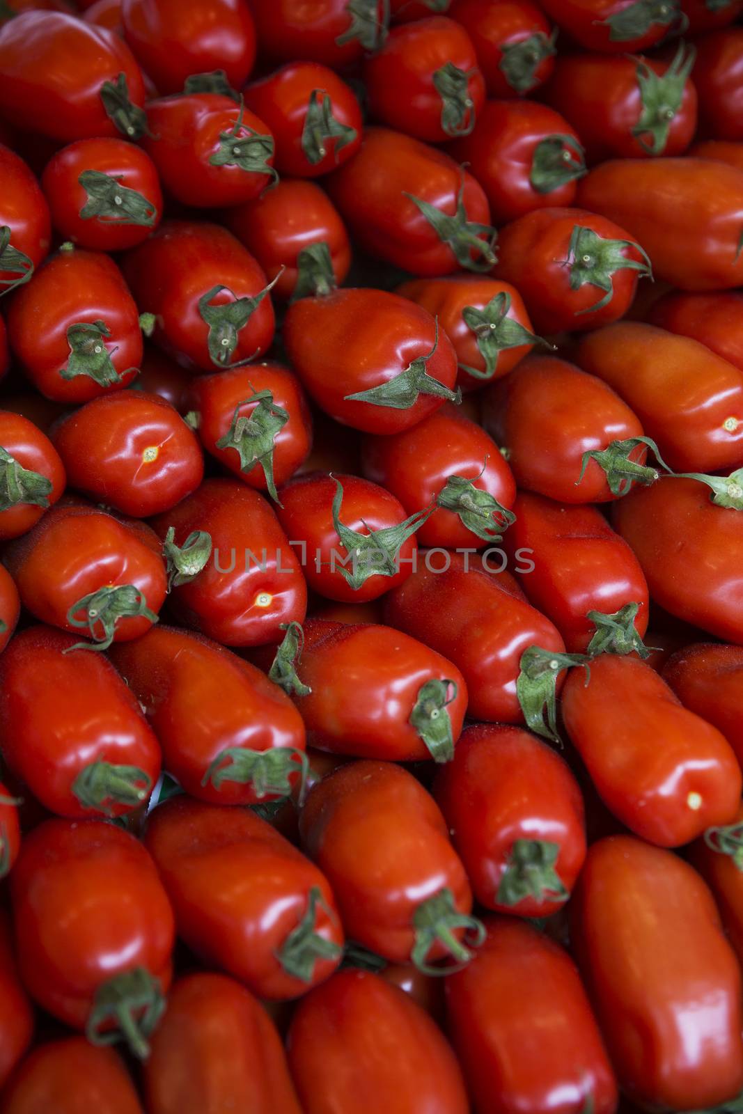 Perfect Shaped tomatoes full frame at the Vegetable Market in Paris