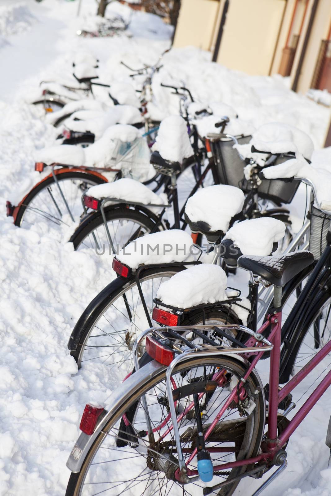 Bicycles at wintertime by gemenacom