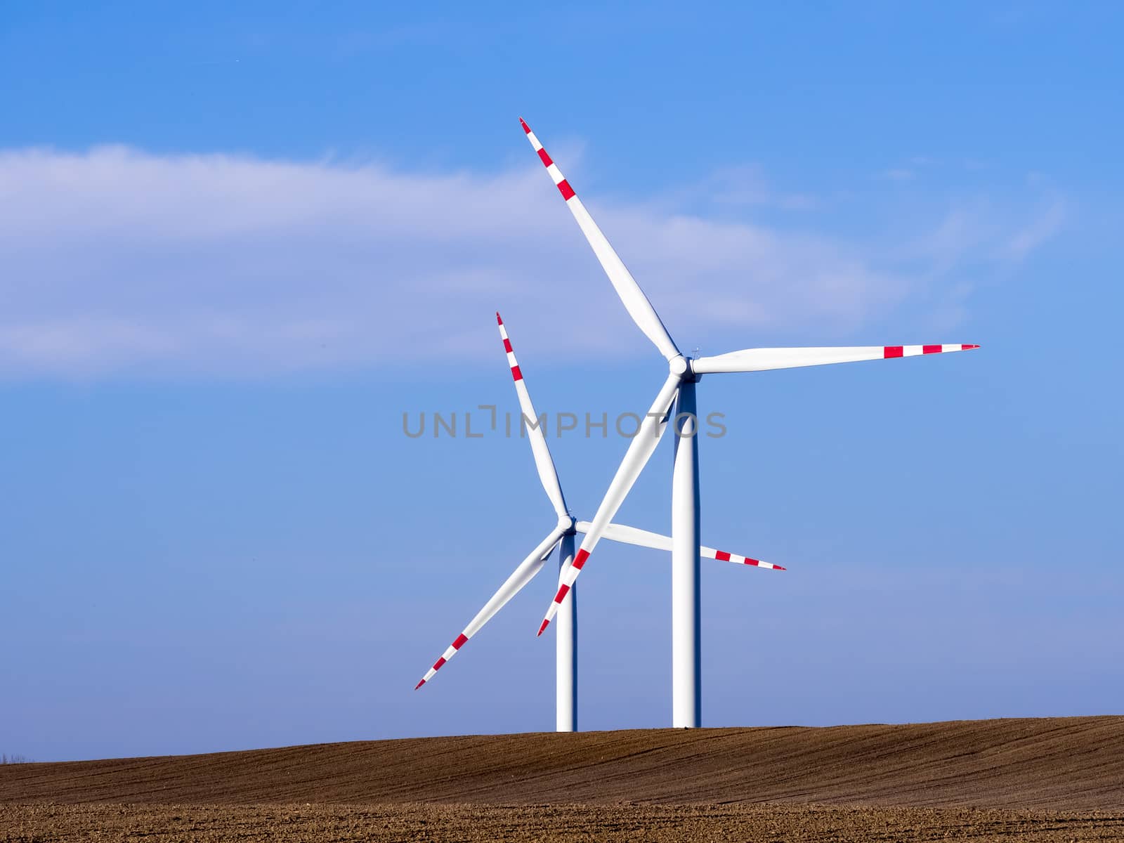 wind mills farm in Tarczew Poland