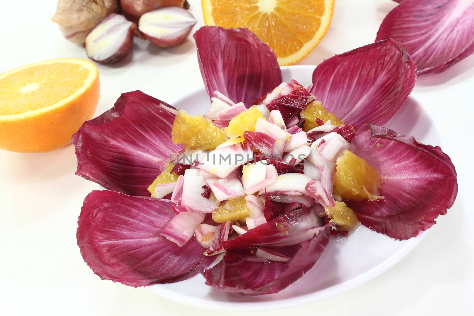 fresh Chicory salad by discovery