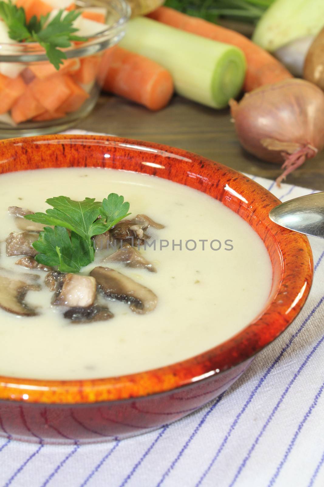 hot calf soup mt mushrooms and parsley by discovery
