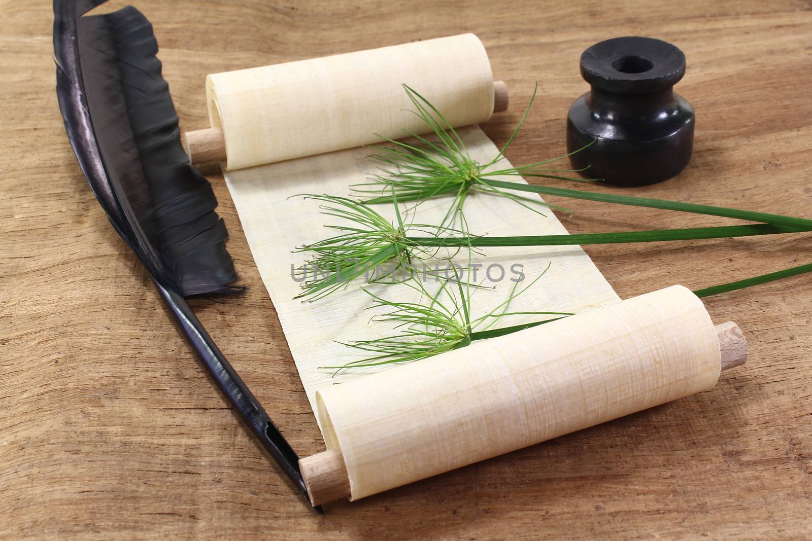 Papyrus scroll with plant, quill and inkwell