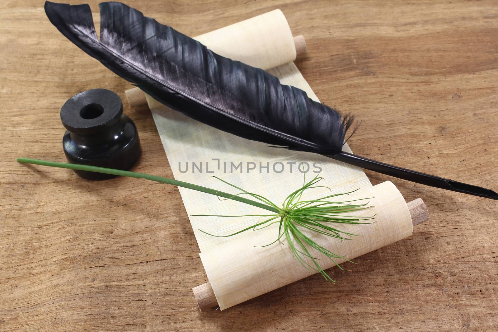 Papyrus scroll with Papyrus plant, quill and inkwell