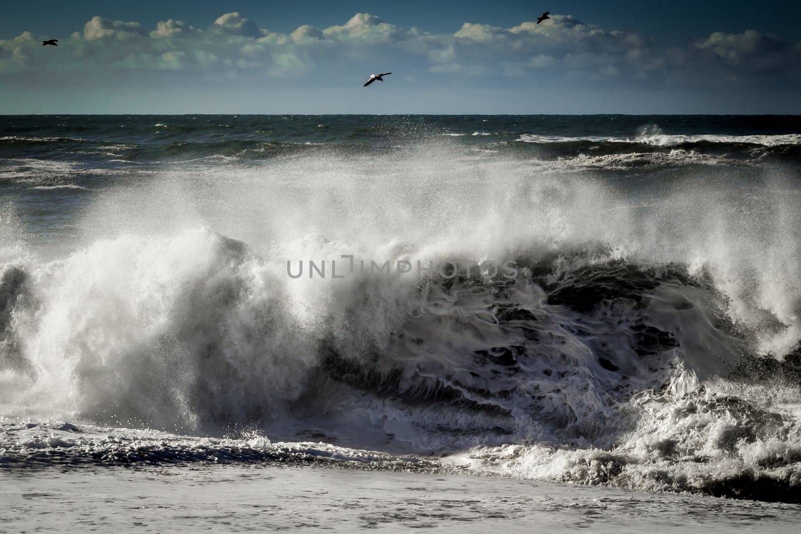 A large wave crashes on the Northern California coastline.