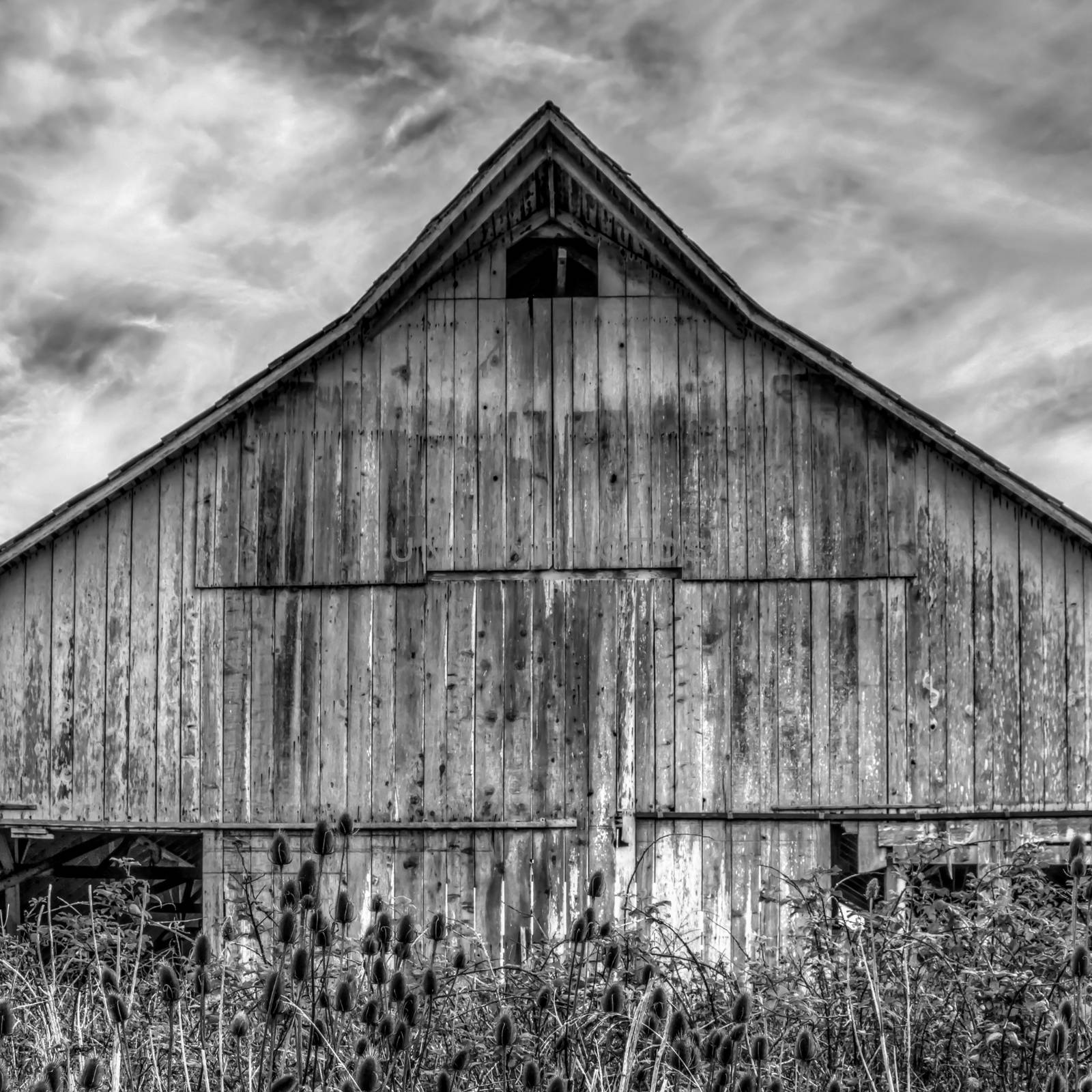 Abandoned Barn by backyard_photography