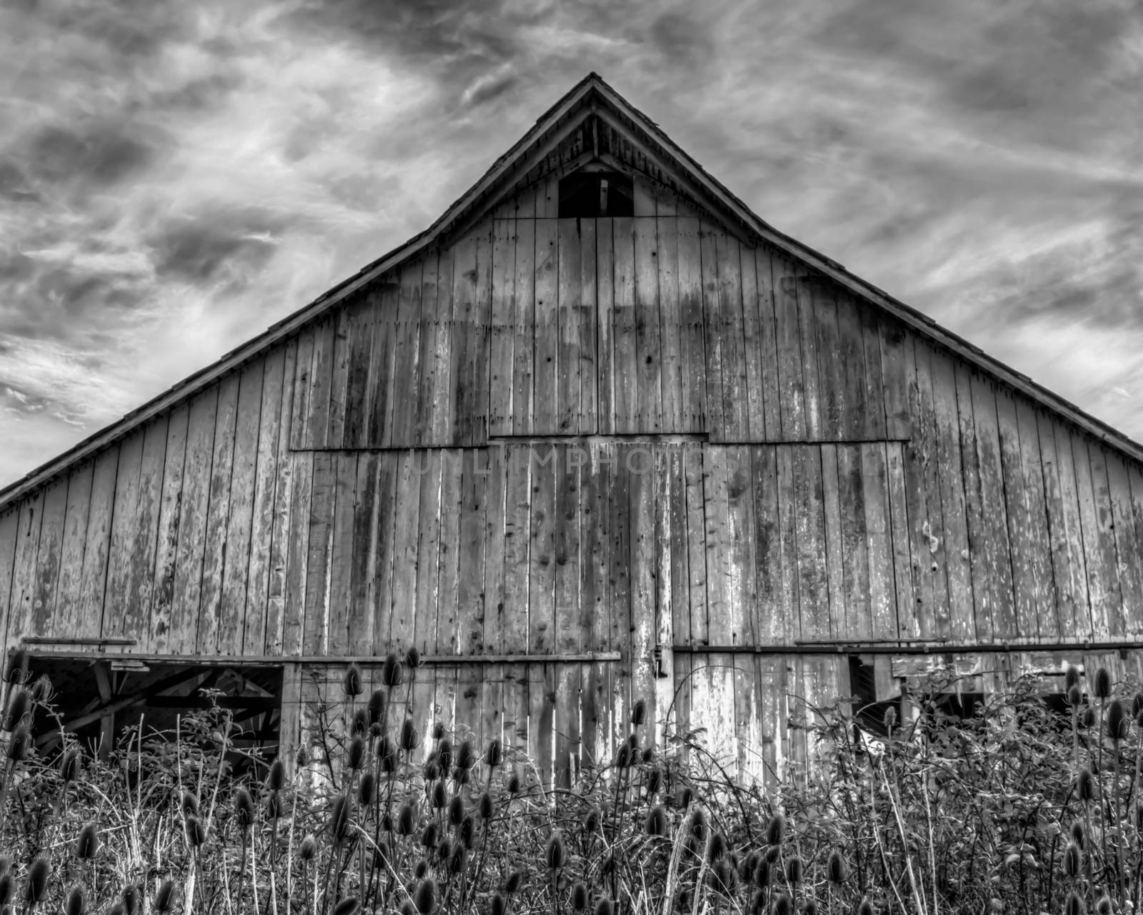 Abandoned Barn by backyard_photography