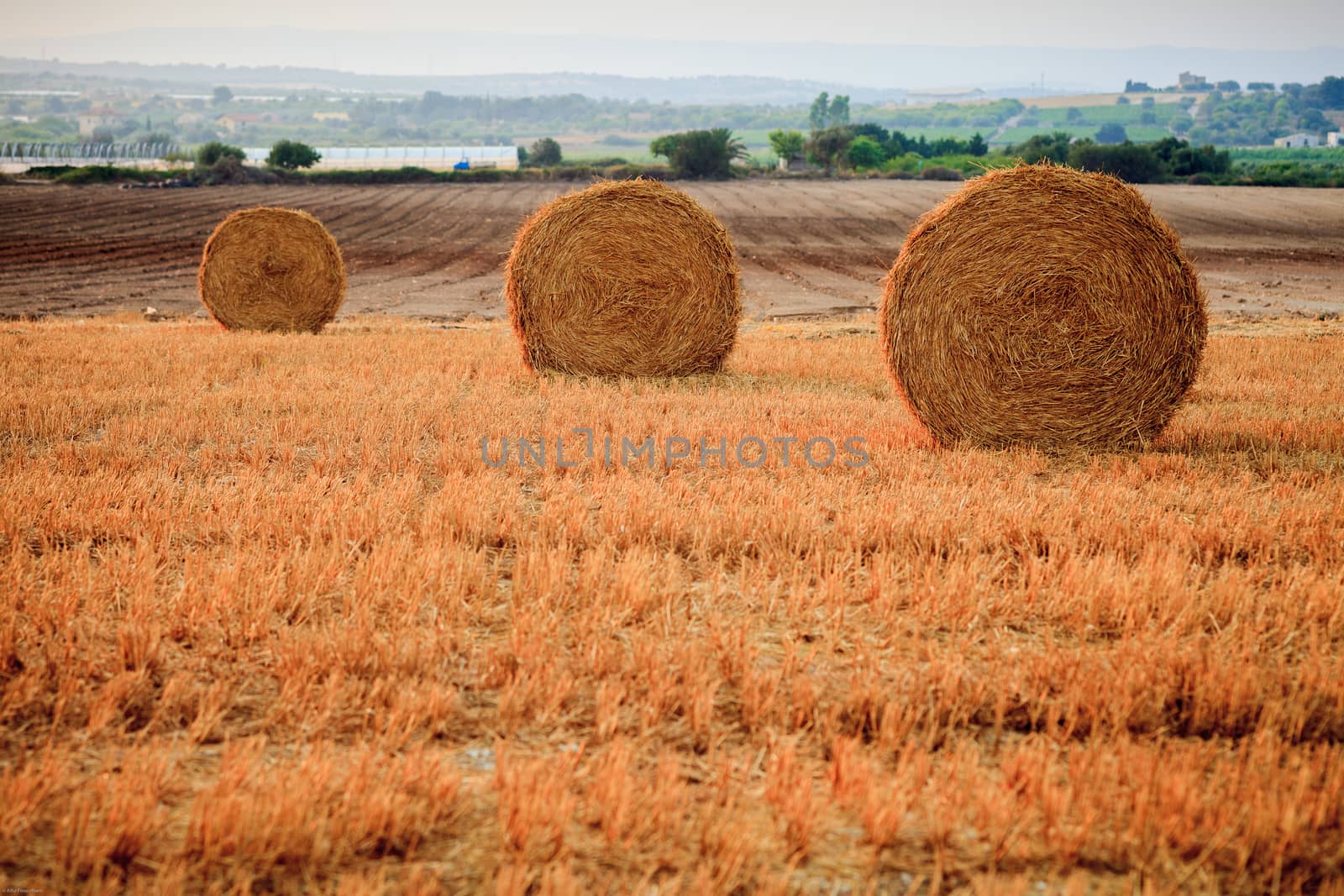Three rolls of hays in the meadows orange coloured by the sun, Sicily, Italy