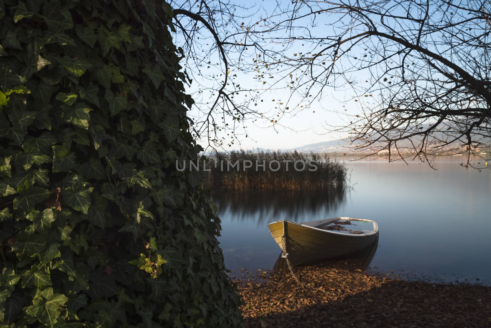 Green boat waiting for summer by starryeyedfineart