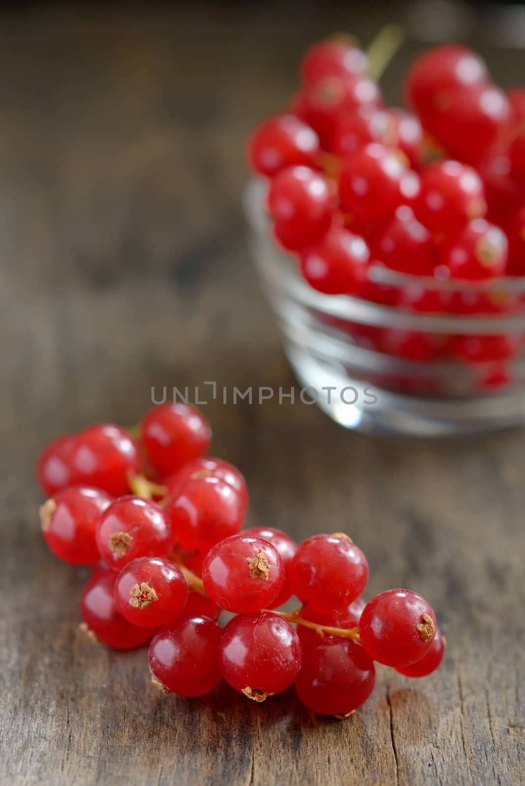 Red currants isolated on old wood