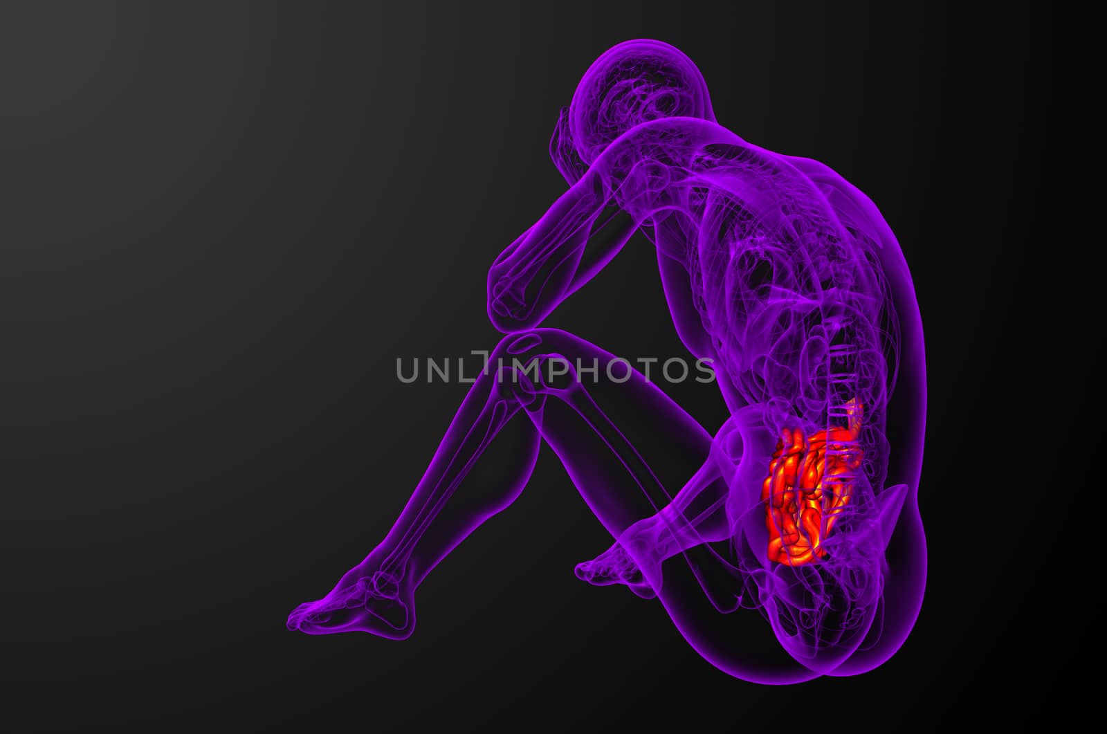 3d rendered illustration of the small intestine - side view