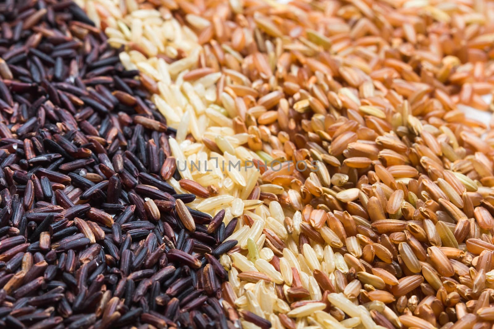 Three variety kinds of brown rice, black ,yellow and brown