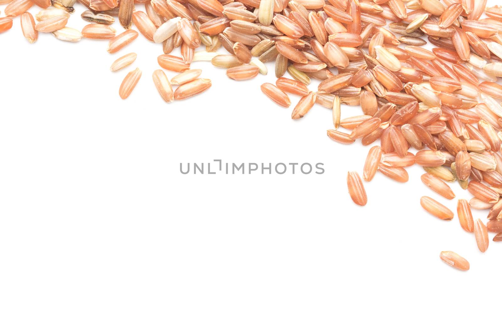 brown rice isolated on white with copy space