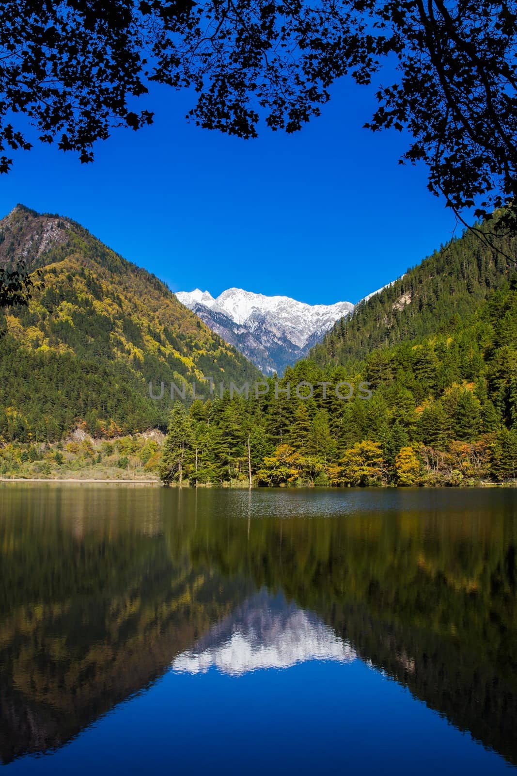 mirror lake at Jiuzhaigou scenic area with mountain snow, Sichuan, China