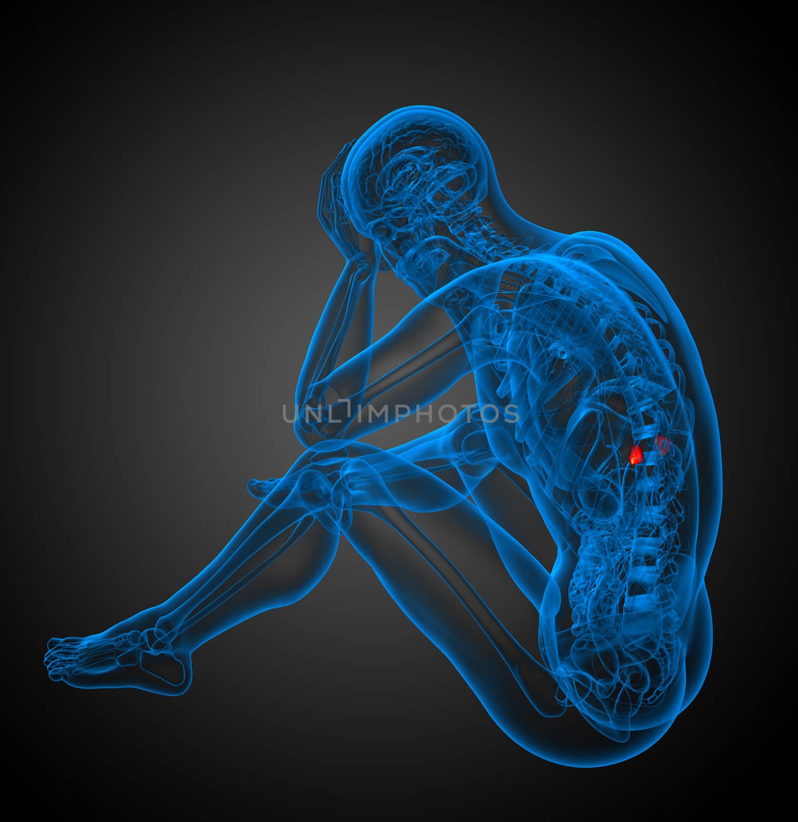 3d render medical illustration of the spleen - side view