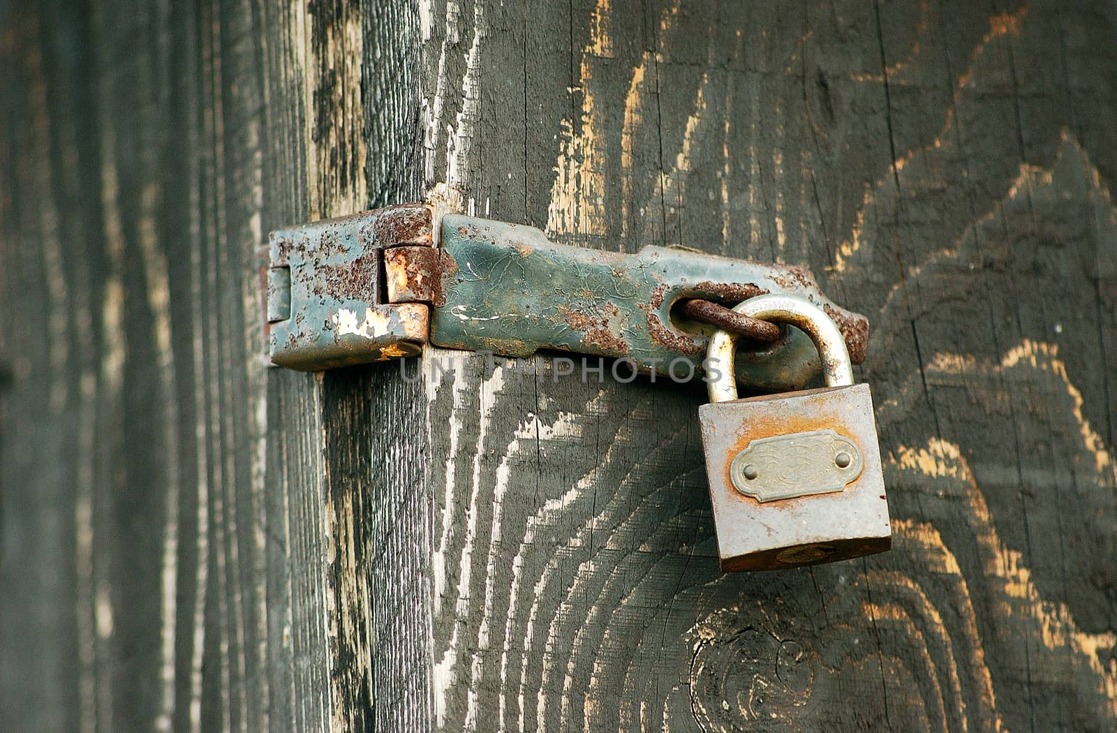                           Pic of Old Wooden door locked with rusty padlock     