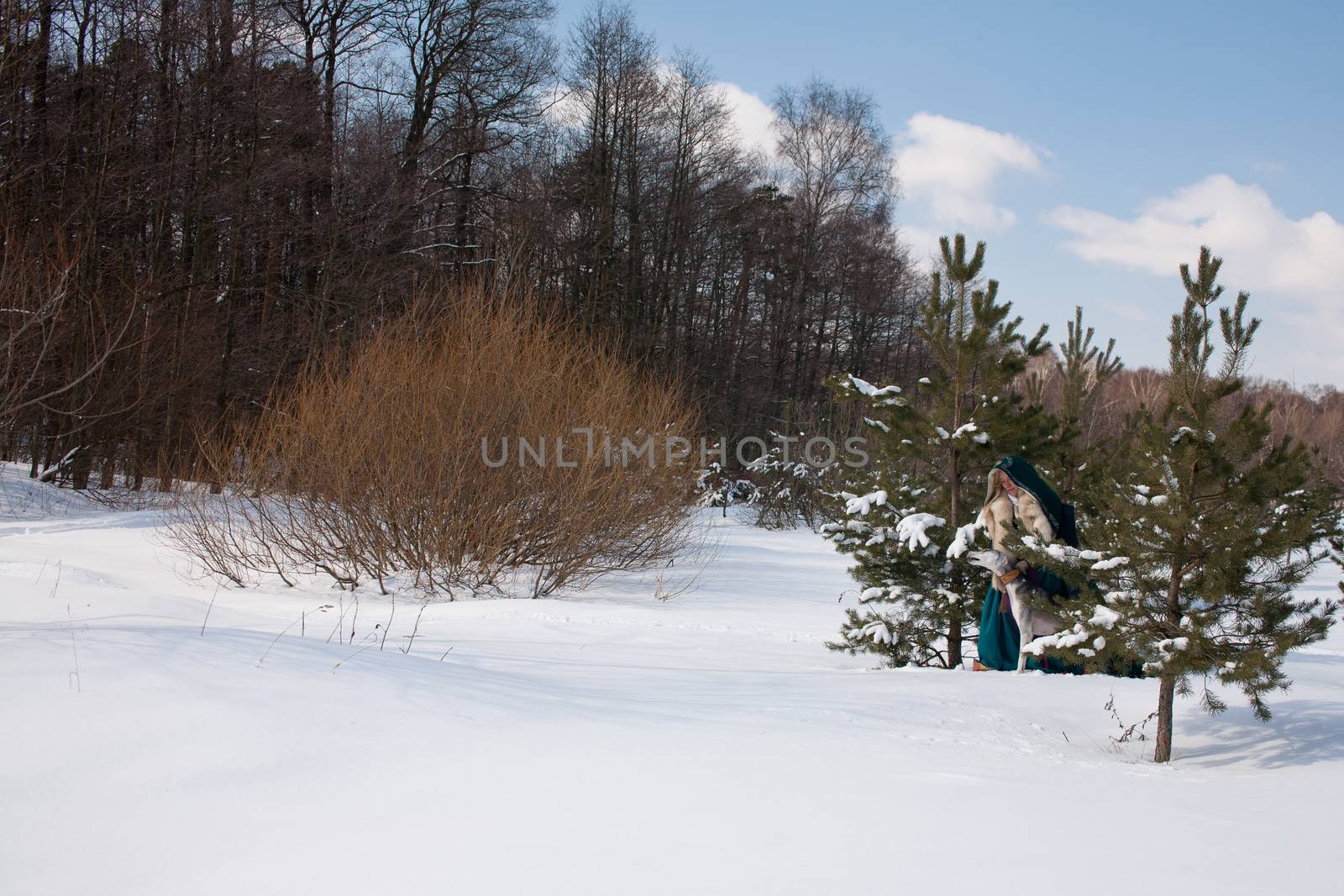 A blonde girl and a saluki on snow forest
