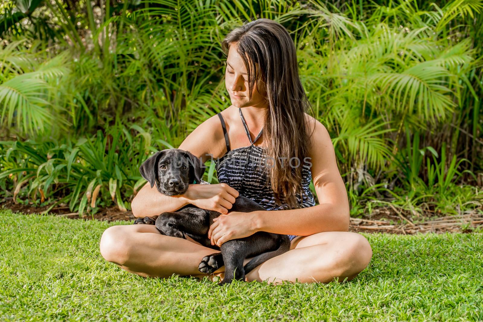 A teenage girl plays with her Labrador puppy outside on the lawn of their garden.