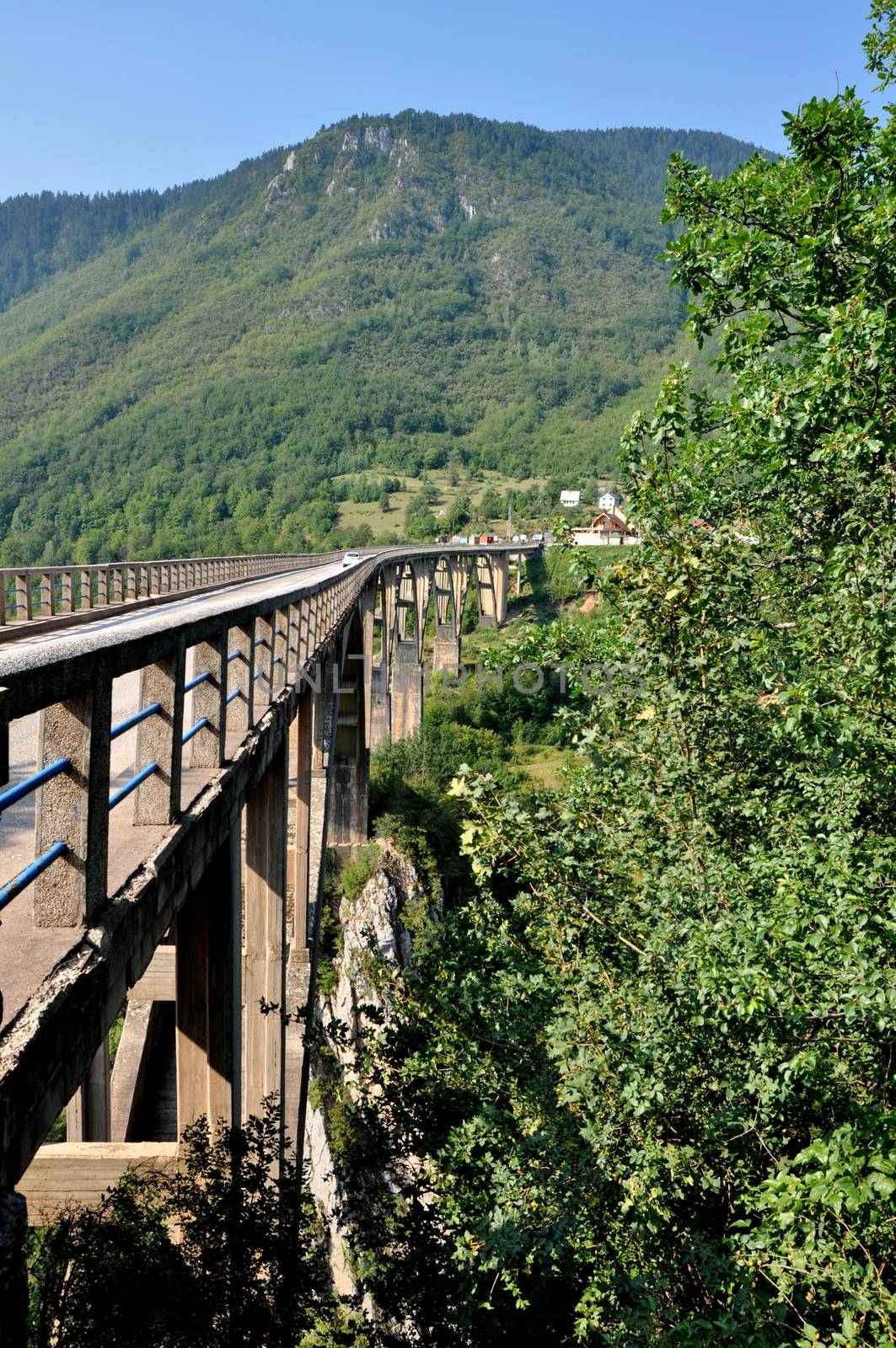Tara bridge in Monte Negro