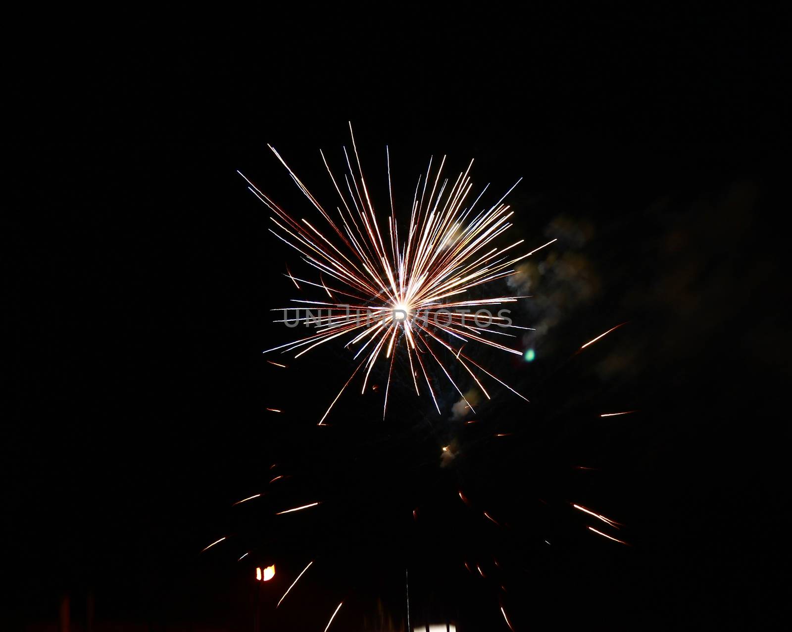 Celebration firework in the black night sky