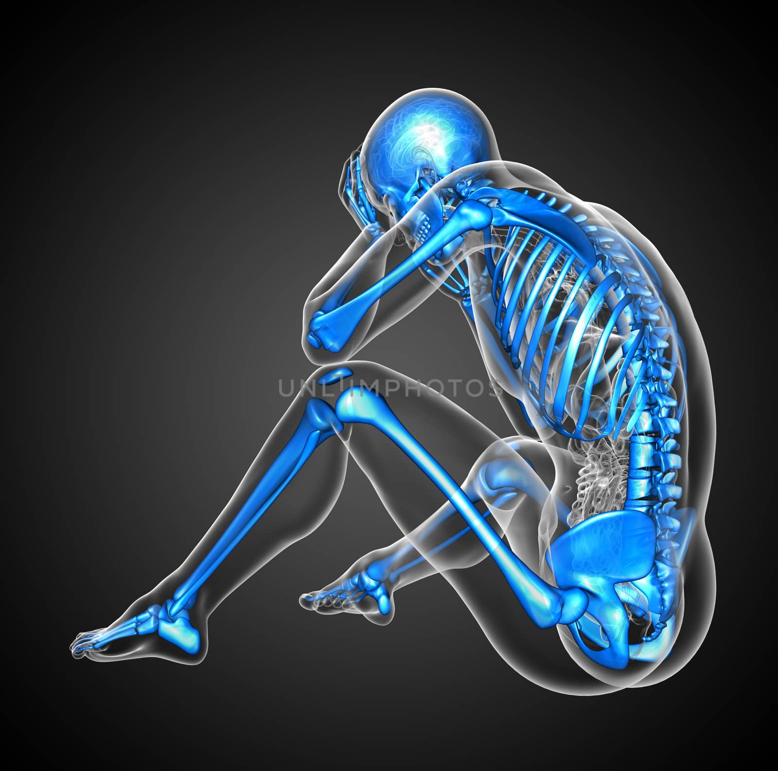 3d render medical illustration of the human skeleton - side view