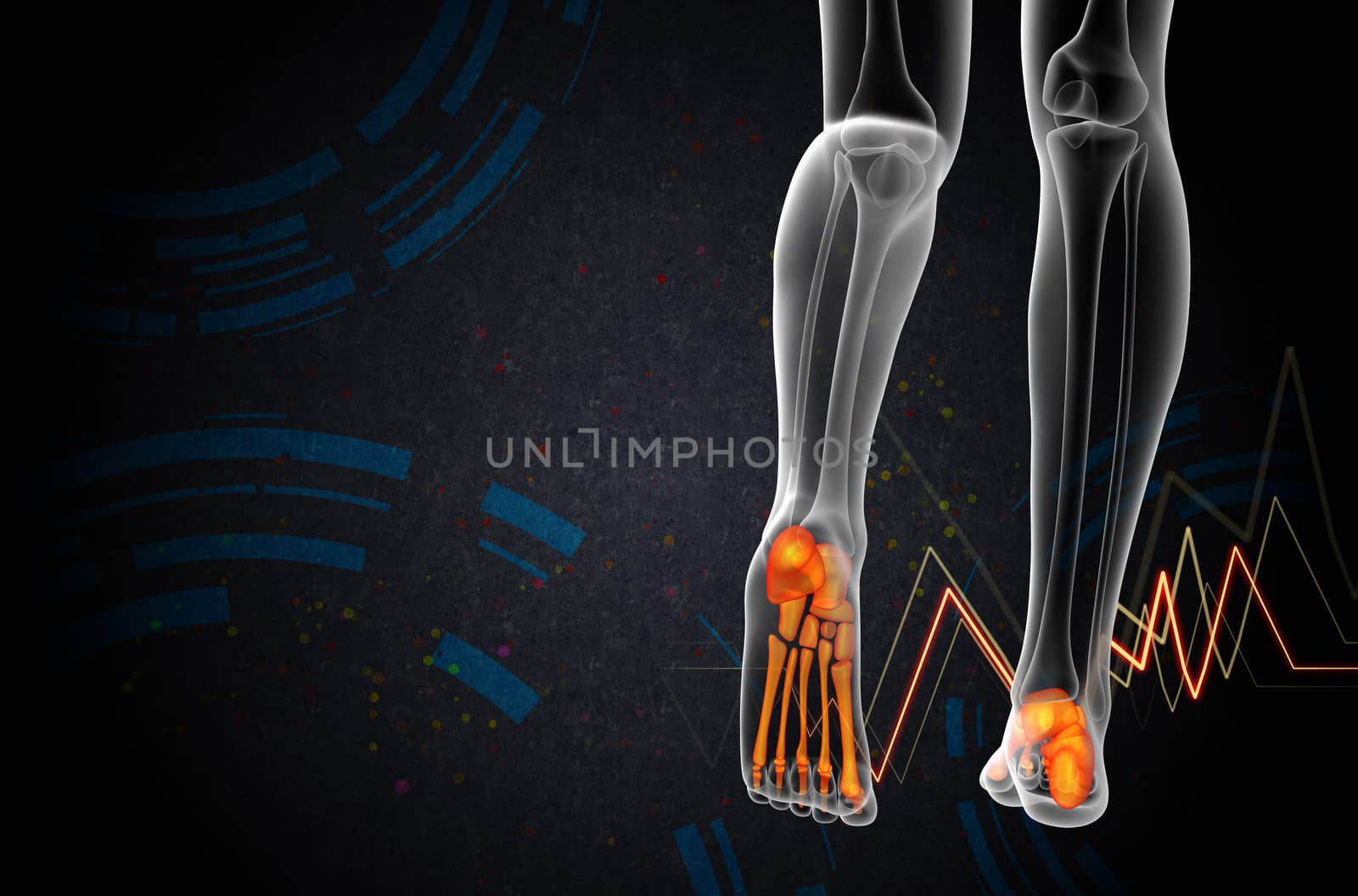 3d render medical illustration of the foot bone - back view