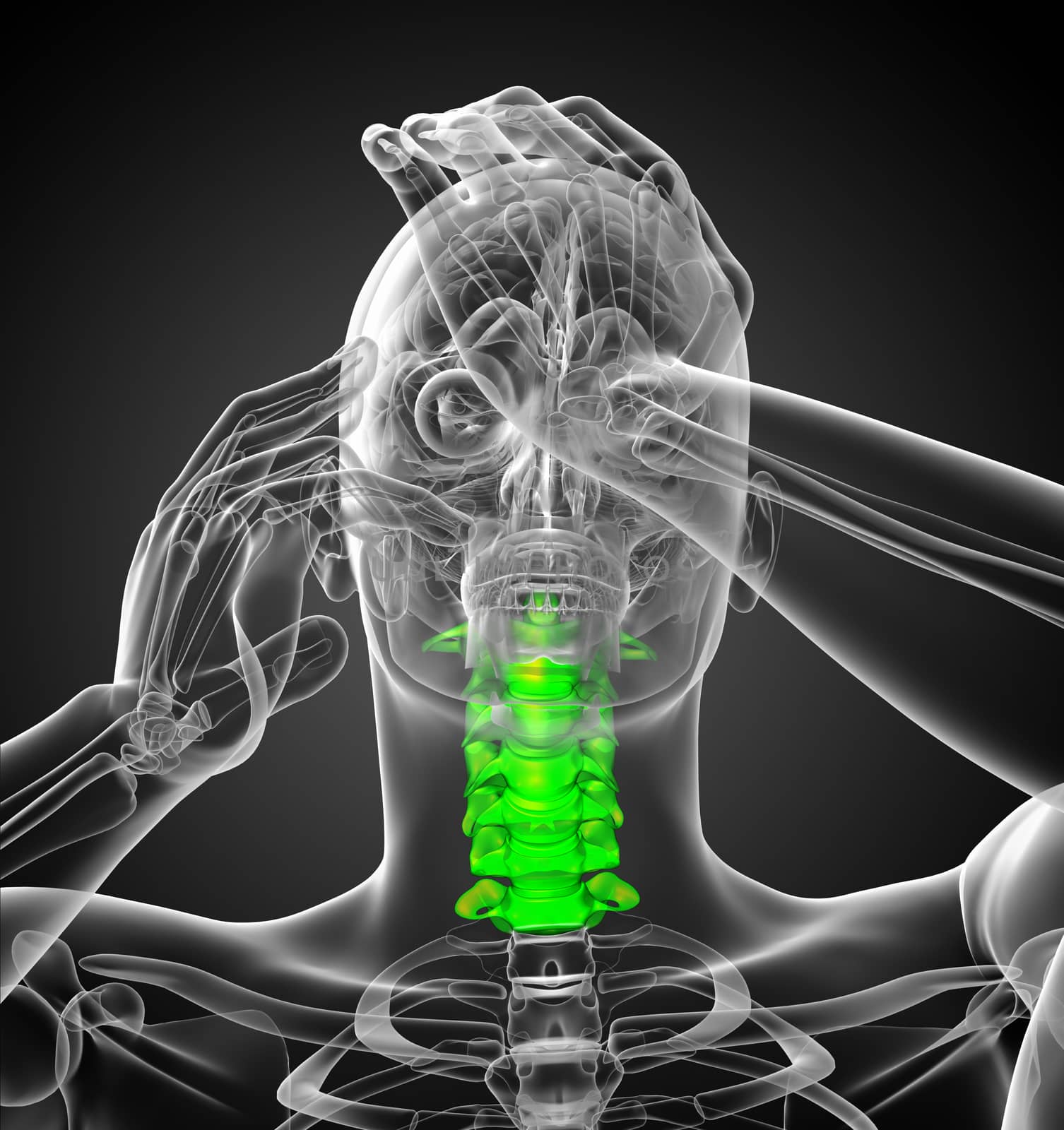 3d render medical illustration of the cervical spine - front view