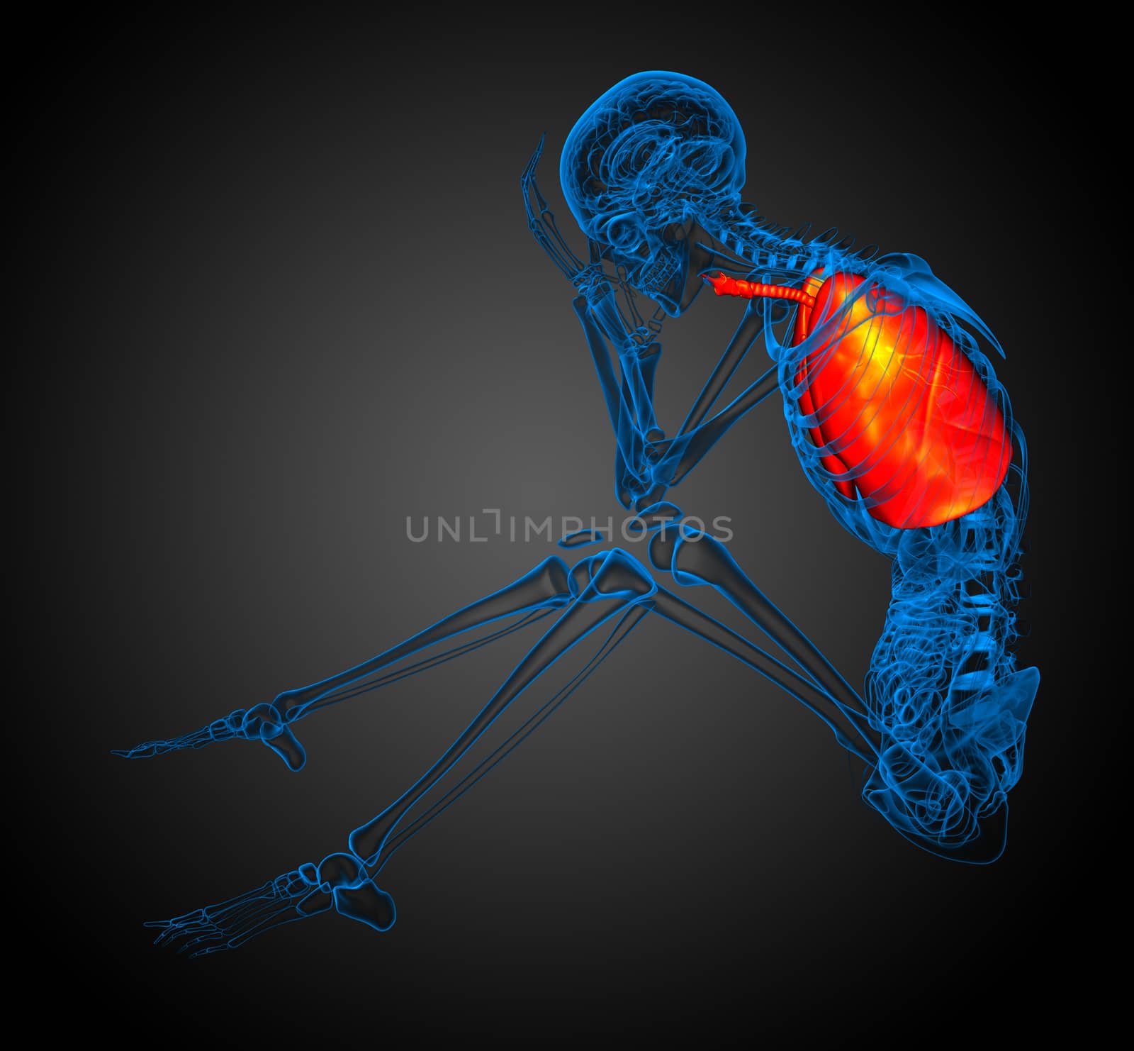 3d rendered illustration of respiratort system - side view