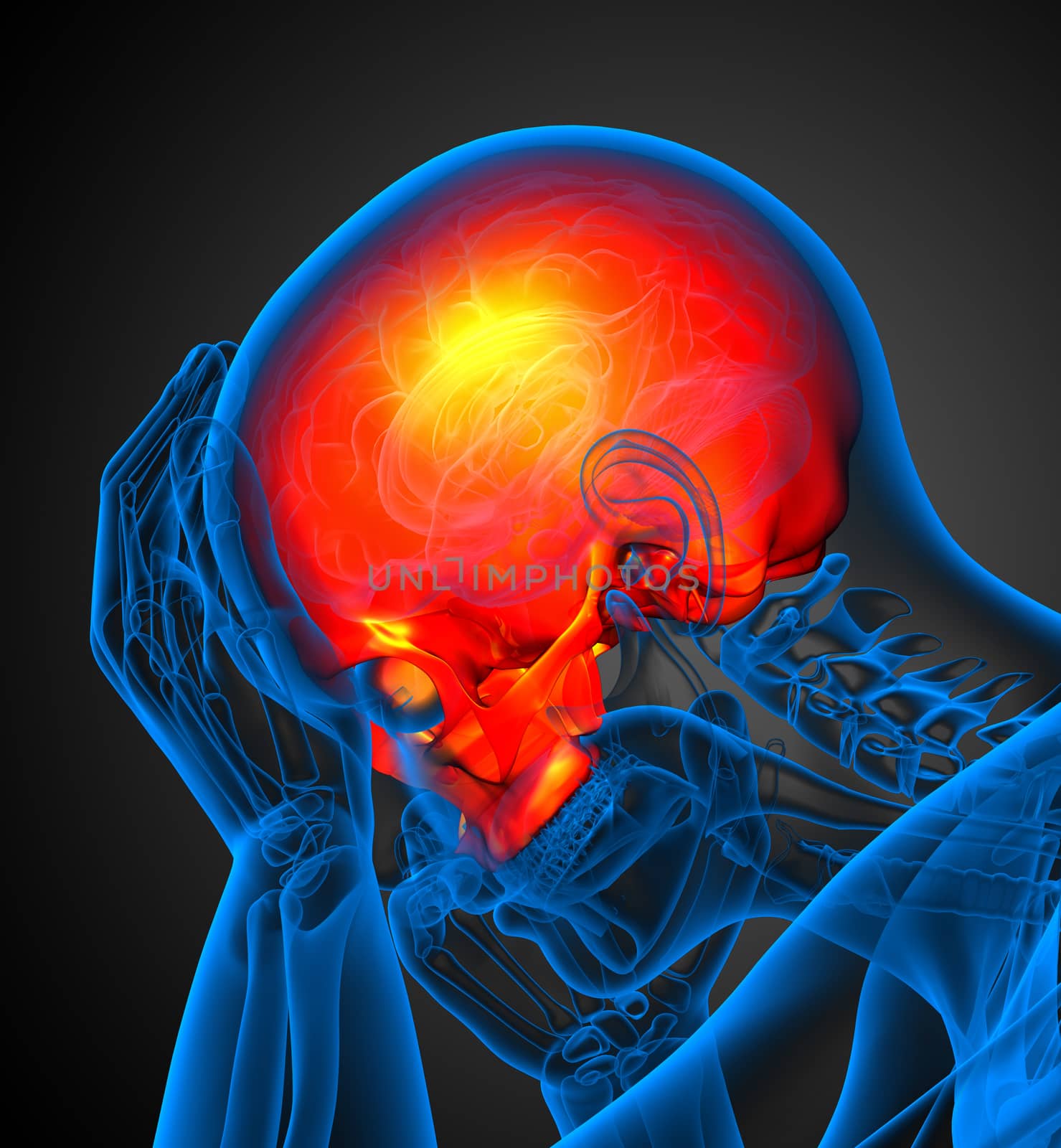 3d render medical illustration of the upper skull - side view