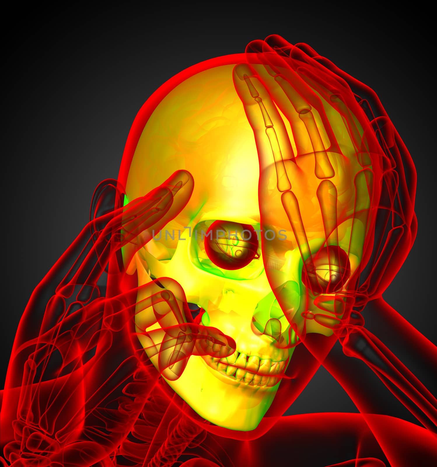 3d render medical illustration of the human skull - front view