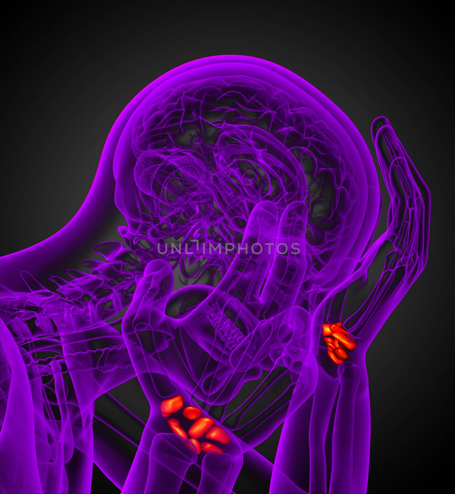 3d rendered illustration of the human carpal bones - side view