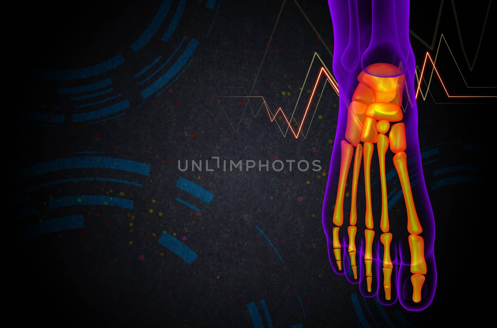 3d render medical illustration of the foot bone - side view