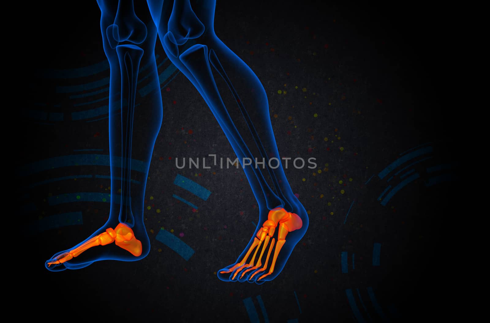 3d render medical illustration of the foot bone - side view