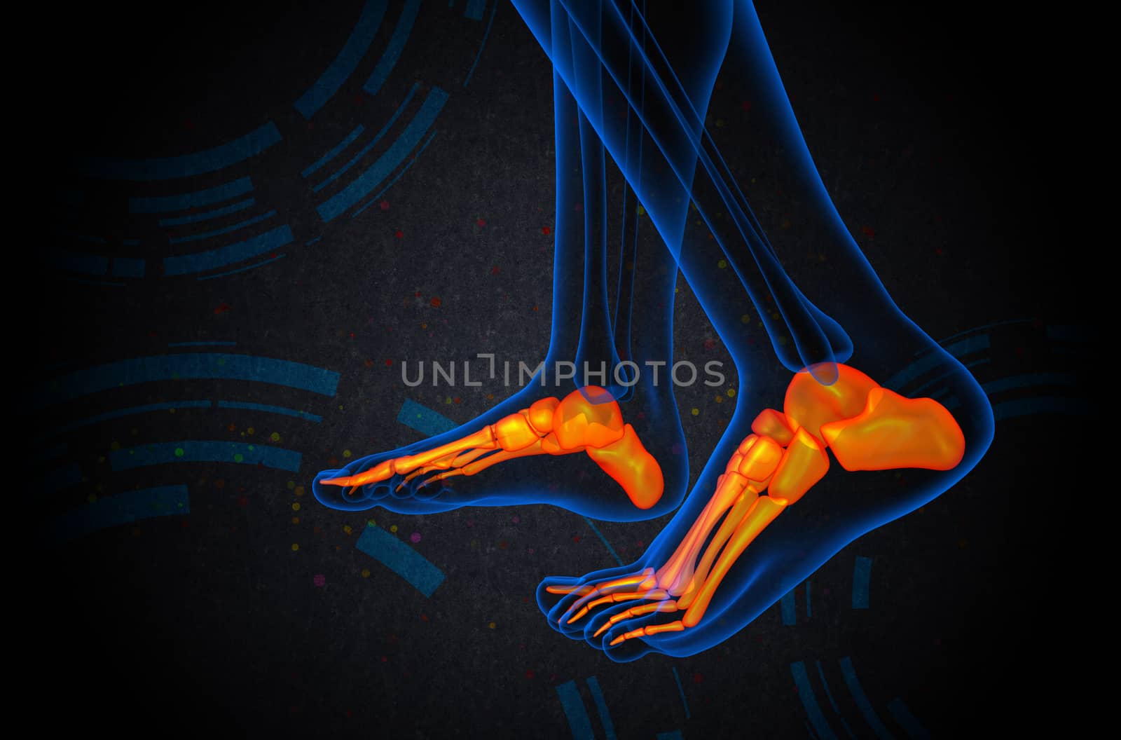 3d render medical illustration of the foot bone - side view