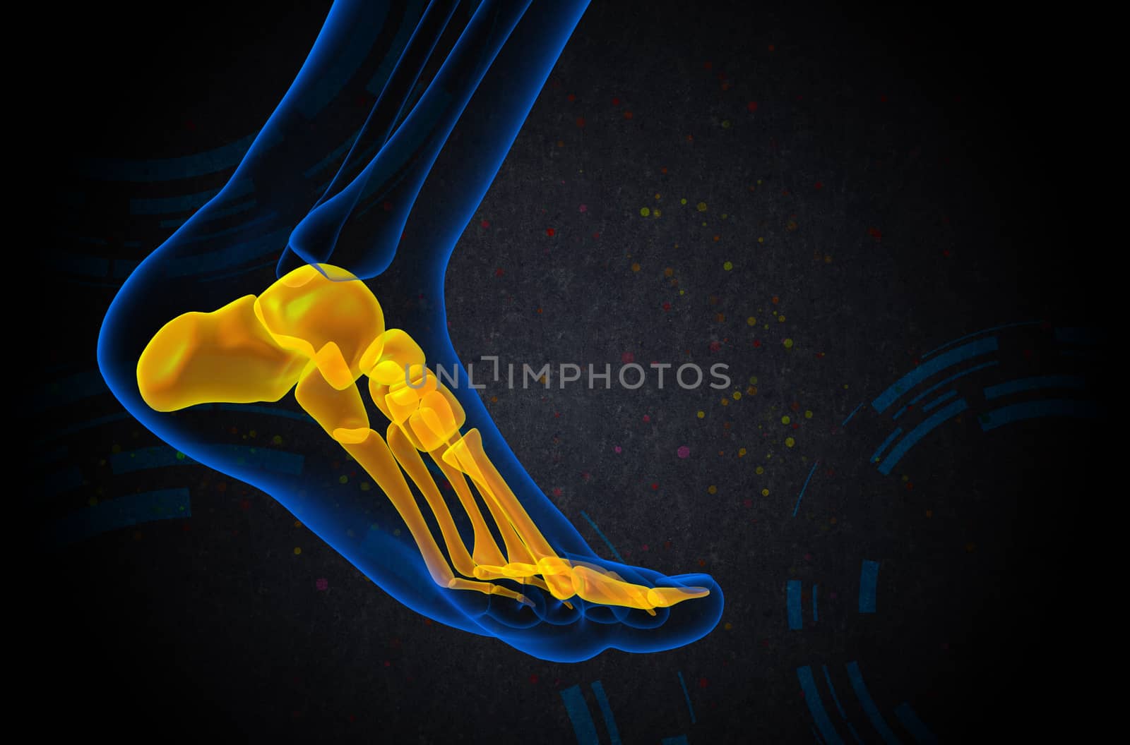 3d render medical illustration of the foot bone - side view