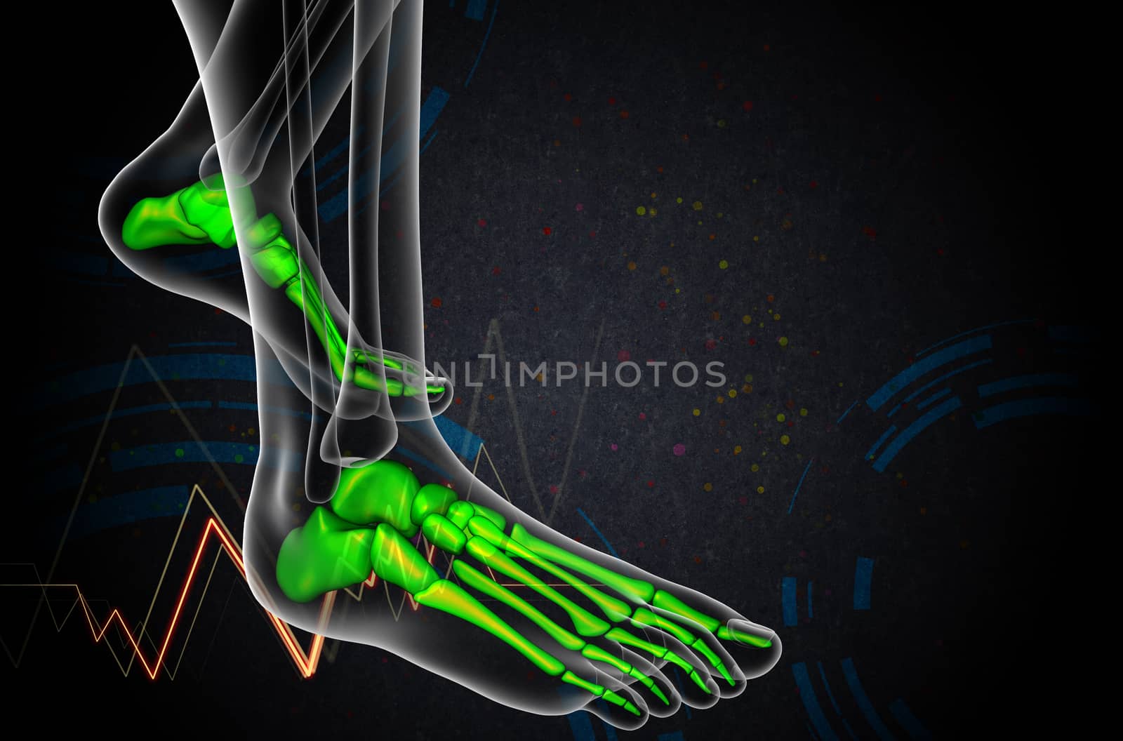 3d render medical illustration of the foot bone - side view