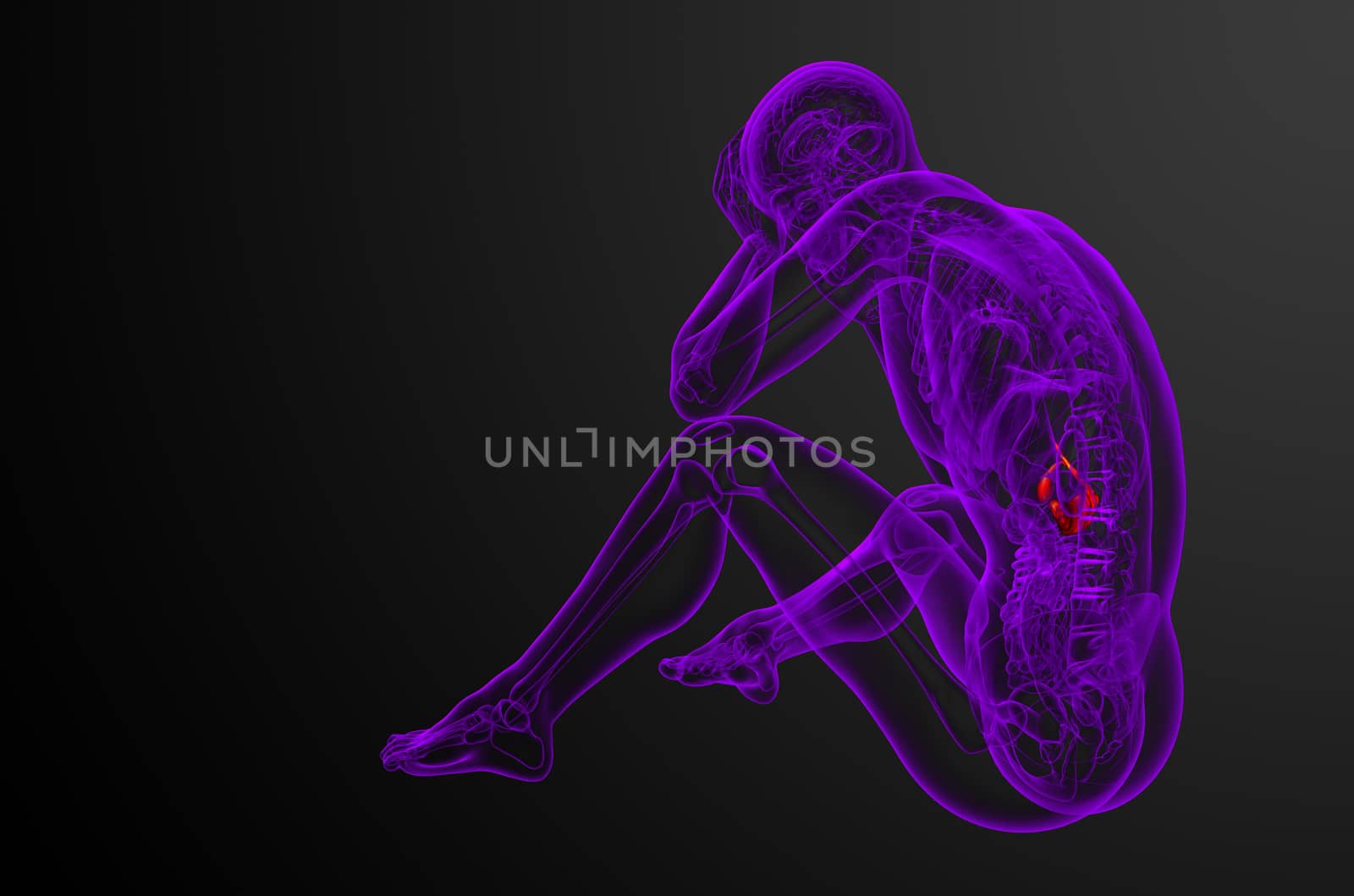 3d render medical illustration of the gallblader and pancrease - side view