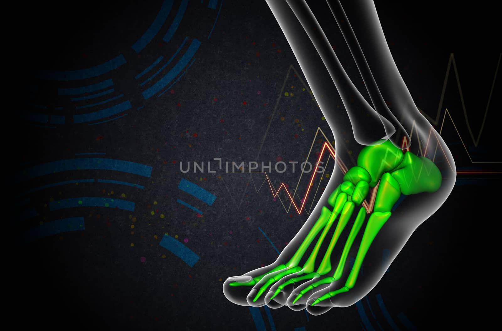 3d render medical illustration of the foot bone - side view