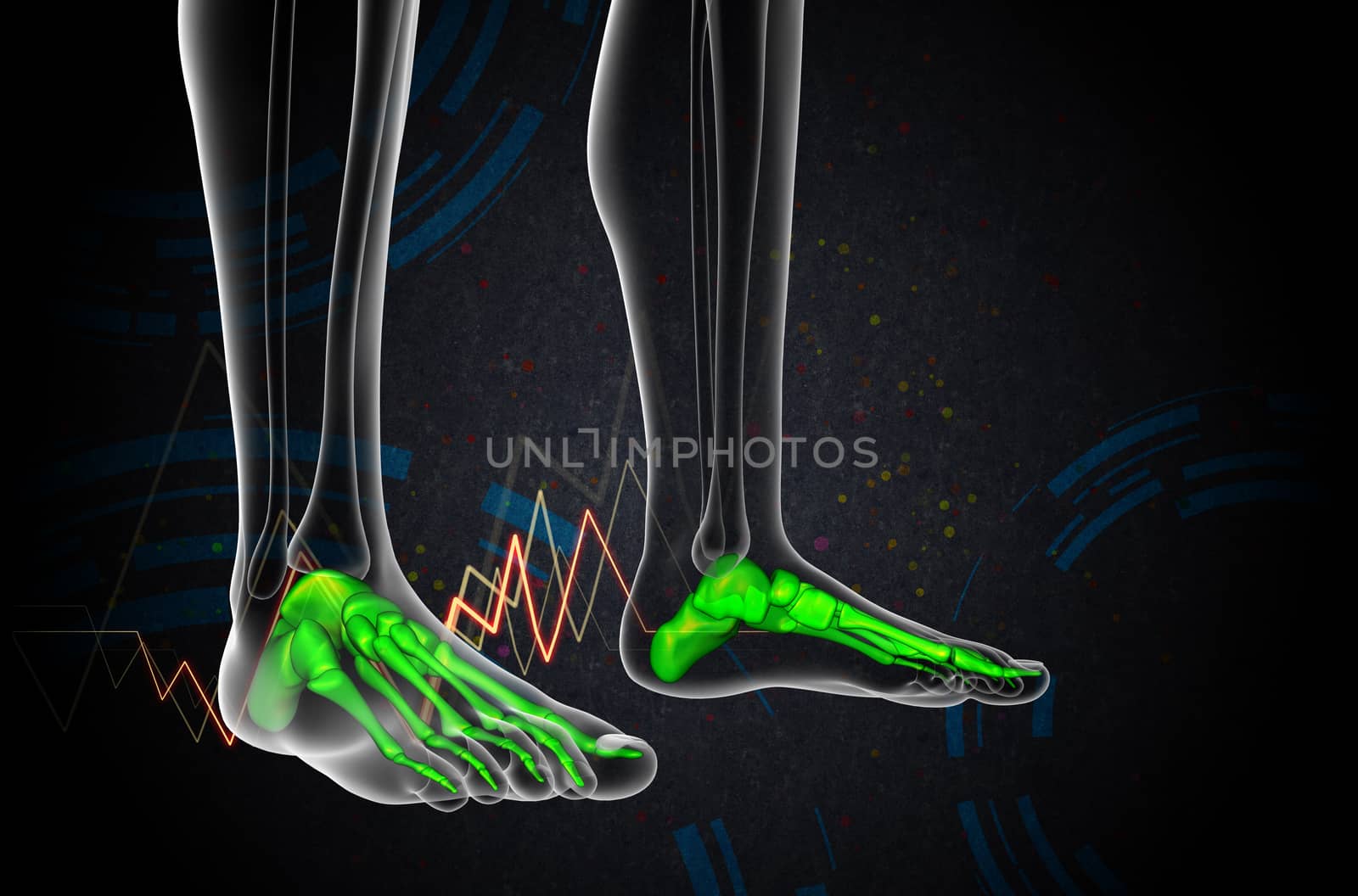 3d render medical illustration of the foot bone - side view