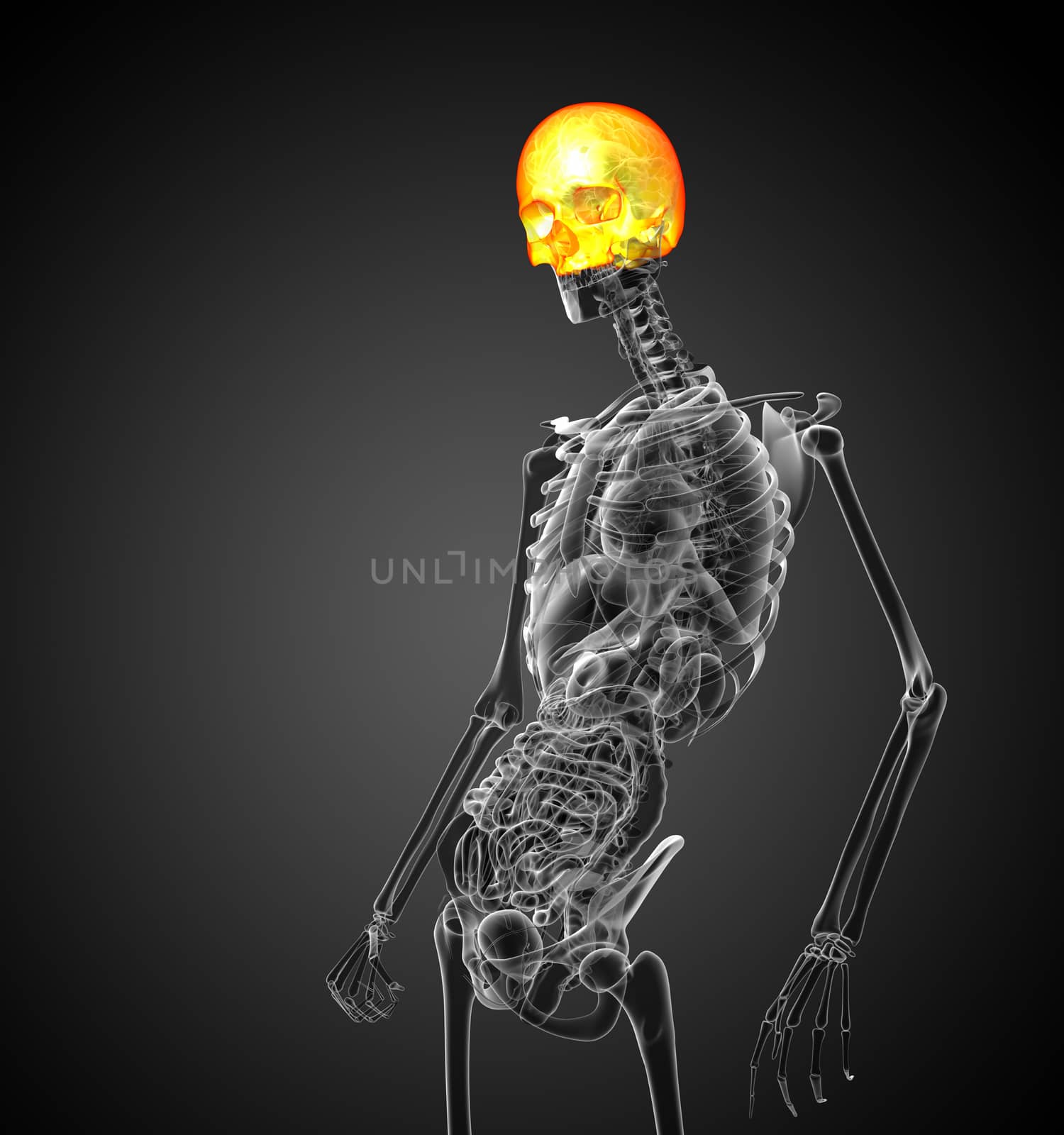 3d render medical illustration of the upper skull - side view