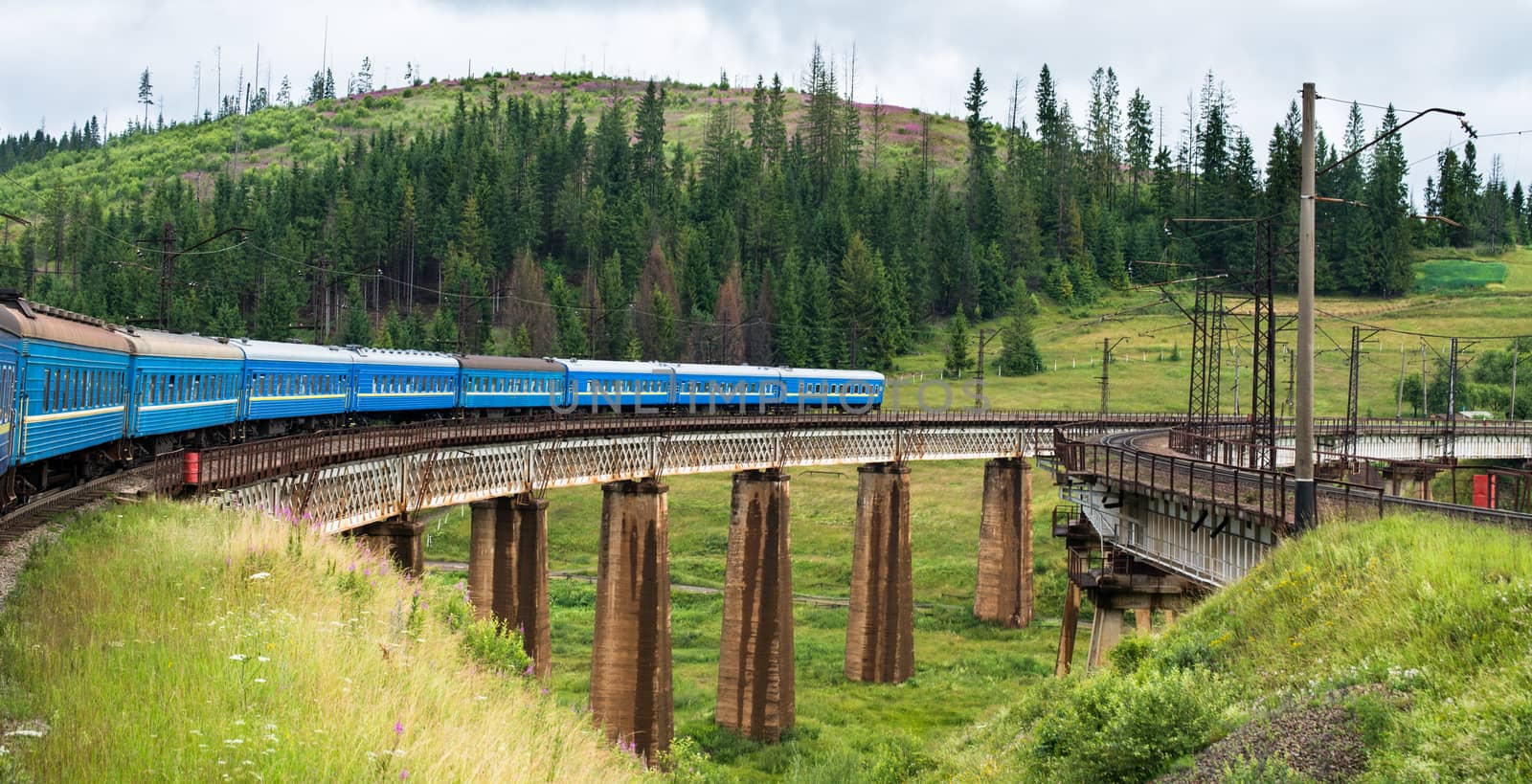 Passenger train going across the bridge in the Carpathian Mountains