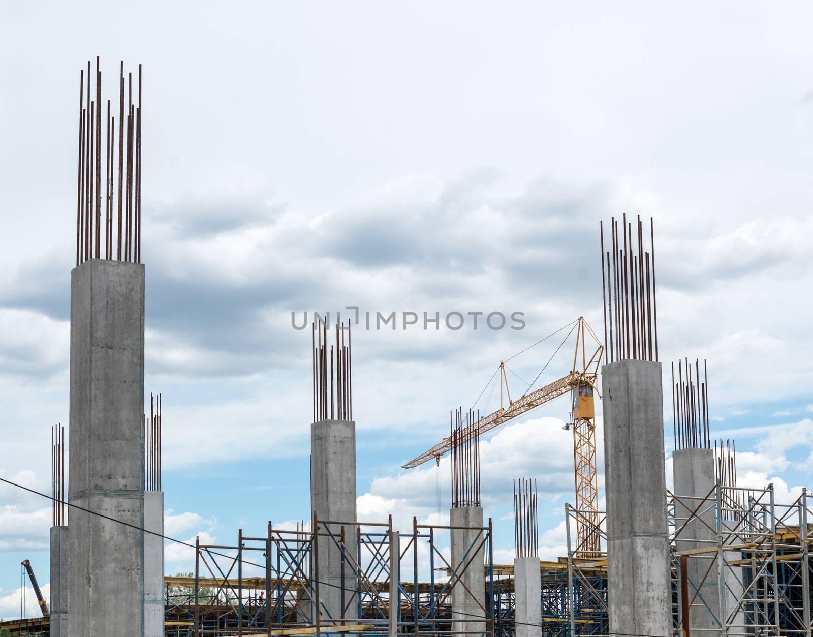 Reinforced concrete piles of the new building and tower crane behind them.
