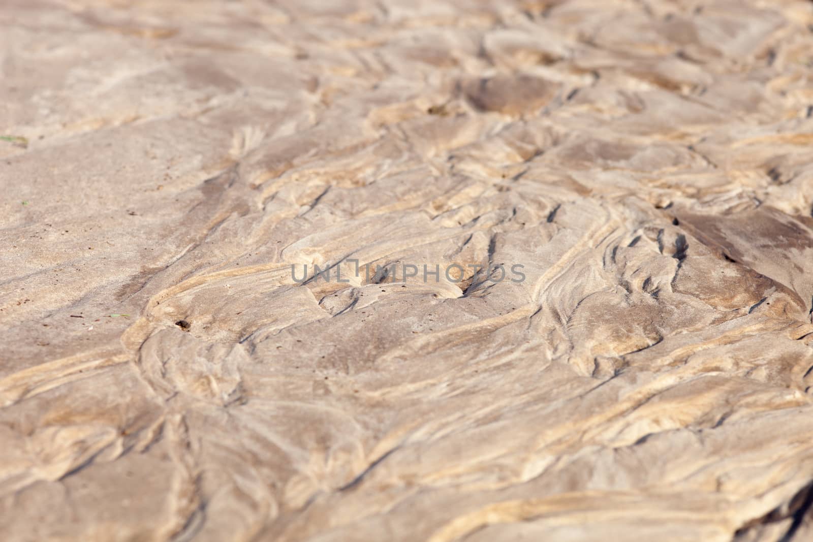 Sand surface after the rain with the relief formed by water currents.