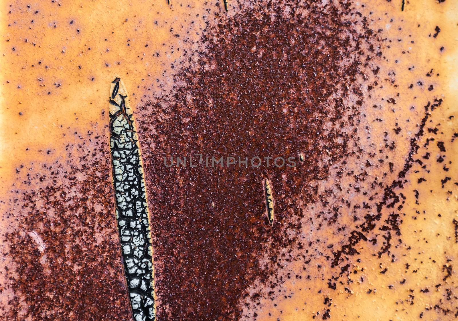 Rusty metal surface by rootstocks