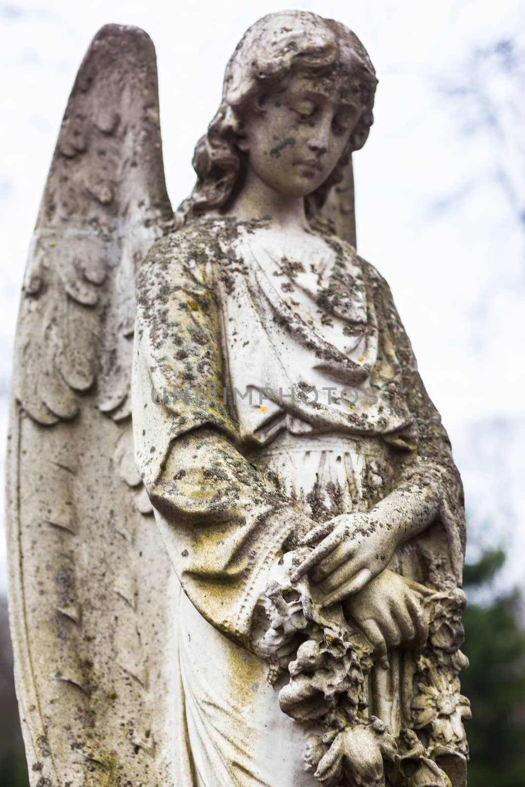 Old cemetery marble sculpture of the angel.