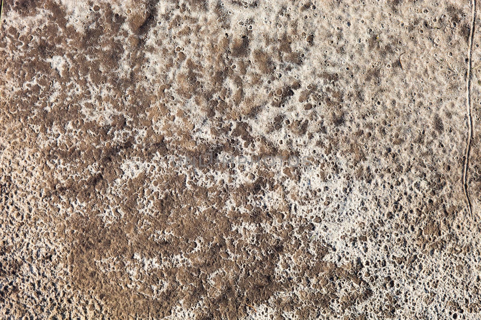 Sand surface after the rain with the visible traces of the raindrops