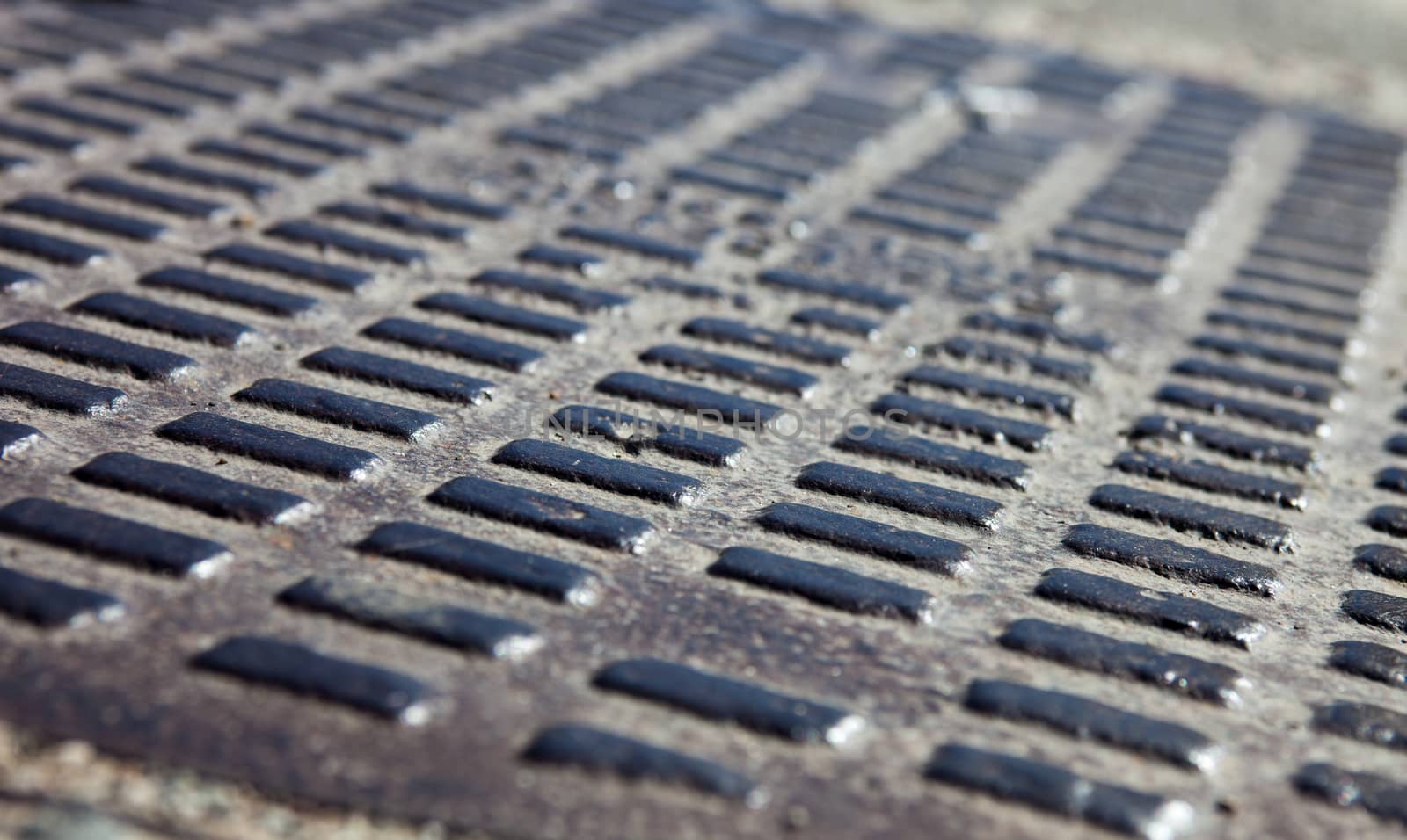 Close up of the metal manhole cover by rootstocks